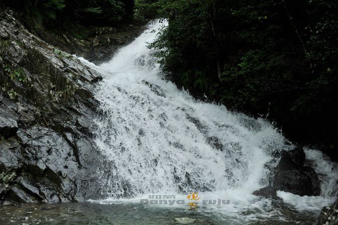 拯救红松鼠