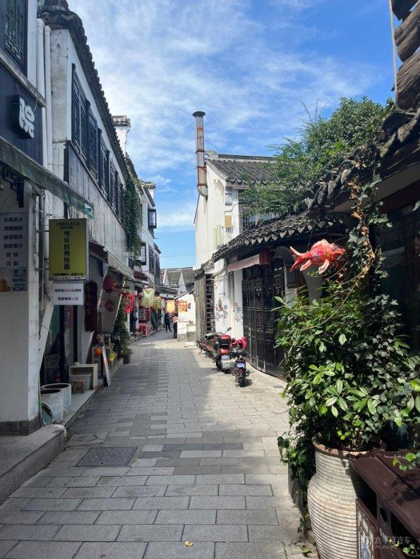 植物臭牡丹长什么样子的？游戏画面